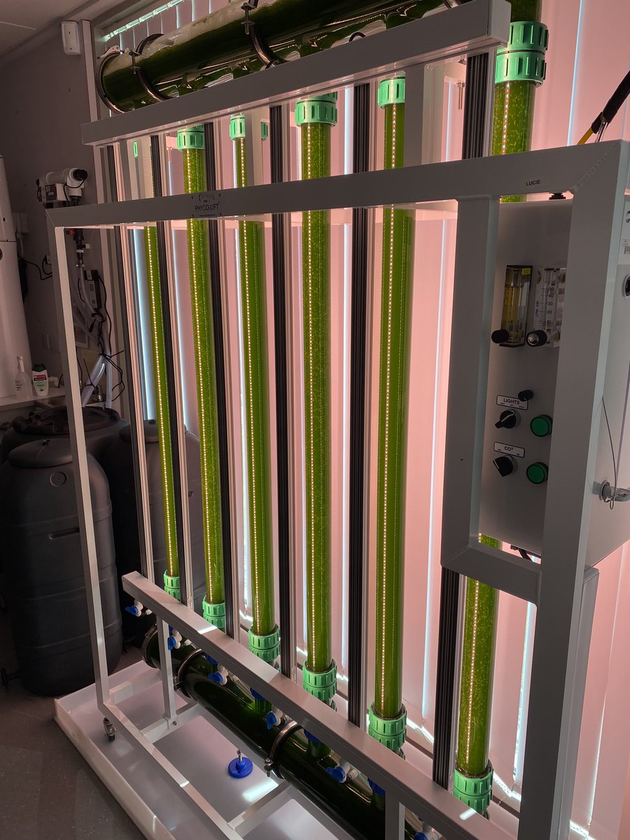 John Siddorn tweet media