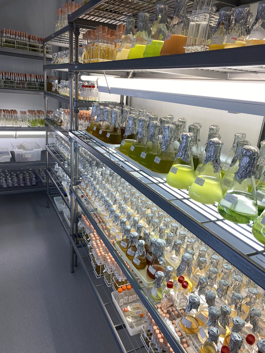 John Siddorn tweet media