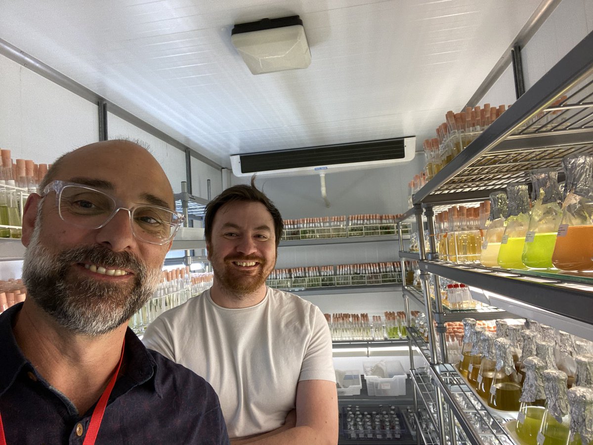 John Siddorn tweet media