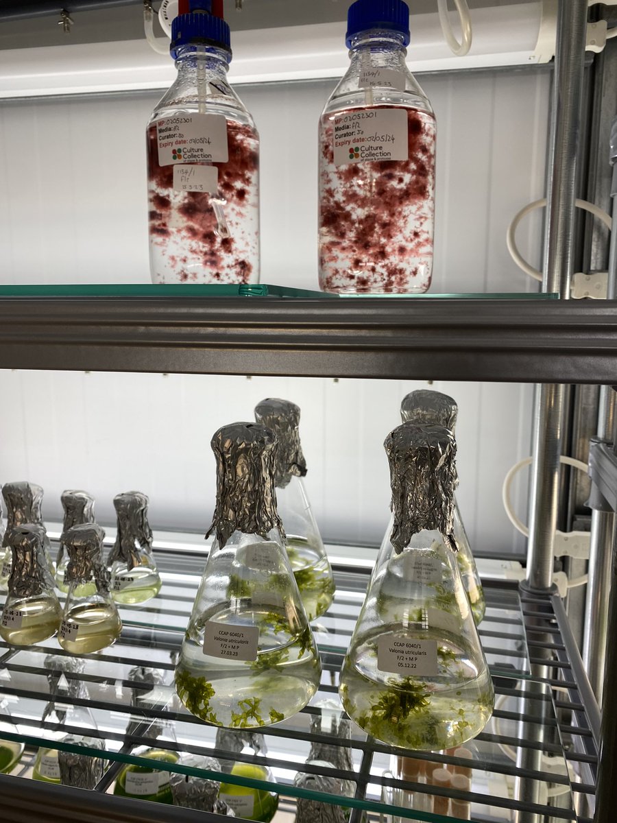 John Siddorn tweet media