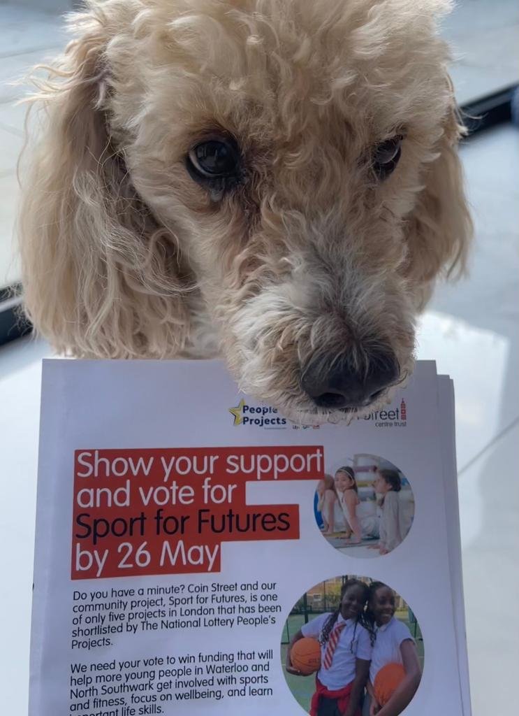 CoinStreet's tweet photo. There is still time to vote!

https://t.co/ZYBo6SejZn https://t.co/asUVM8wjfa