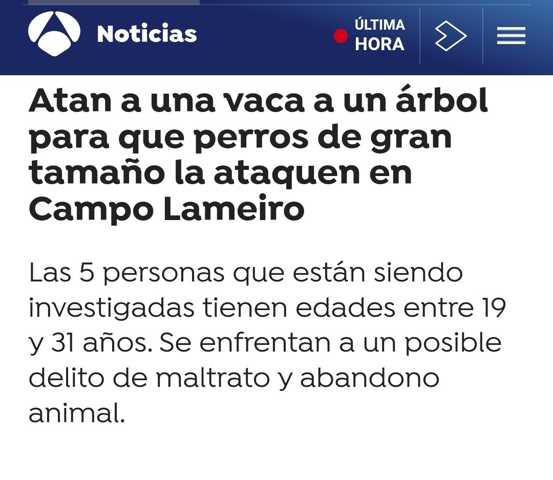 ruben_prz's tweet photo. Estos trozos de mierda se merecen una respuesta institucional y judicial contundente.

Sin más. https://t.co/SnFTufFaLM
