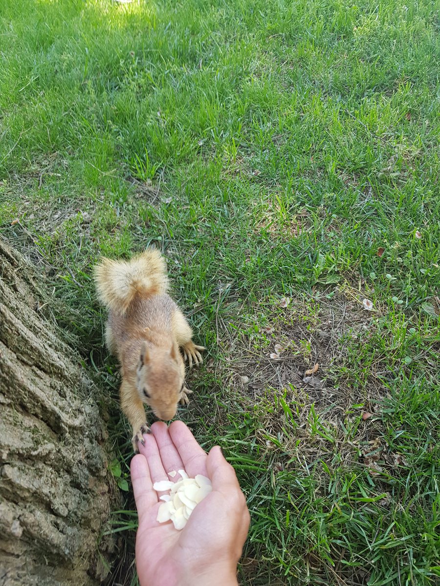 Bugünkü  mutluluk enerjimi fulledim🐿🥰