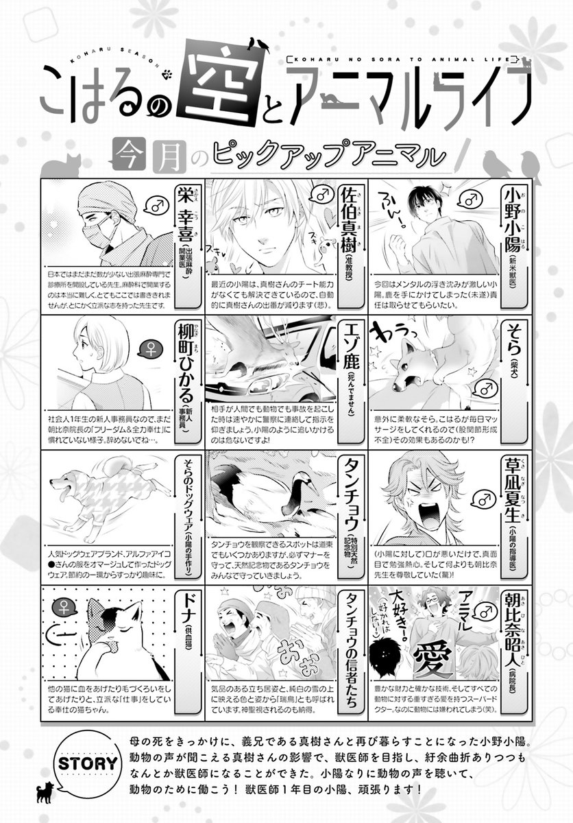 #ASUKA 7月号掲載
紆余曲折ありつつも、
なんとか獣医師になることができた小陽!
今回は、特別天然記念物のタンチョウを保護!?
#加藤えりこ #こはるの空とアニマルライフ