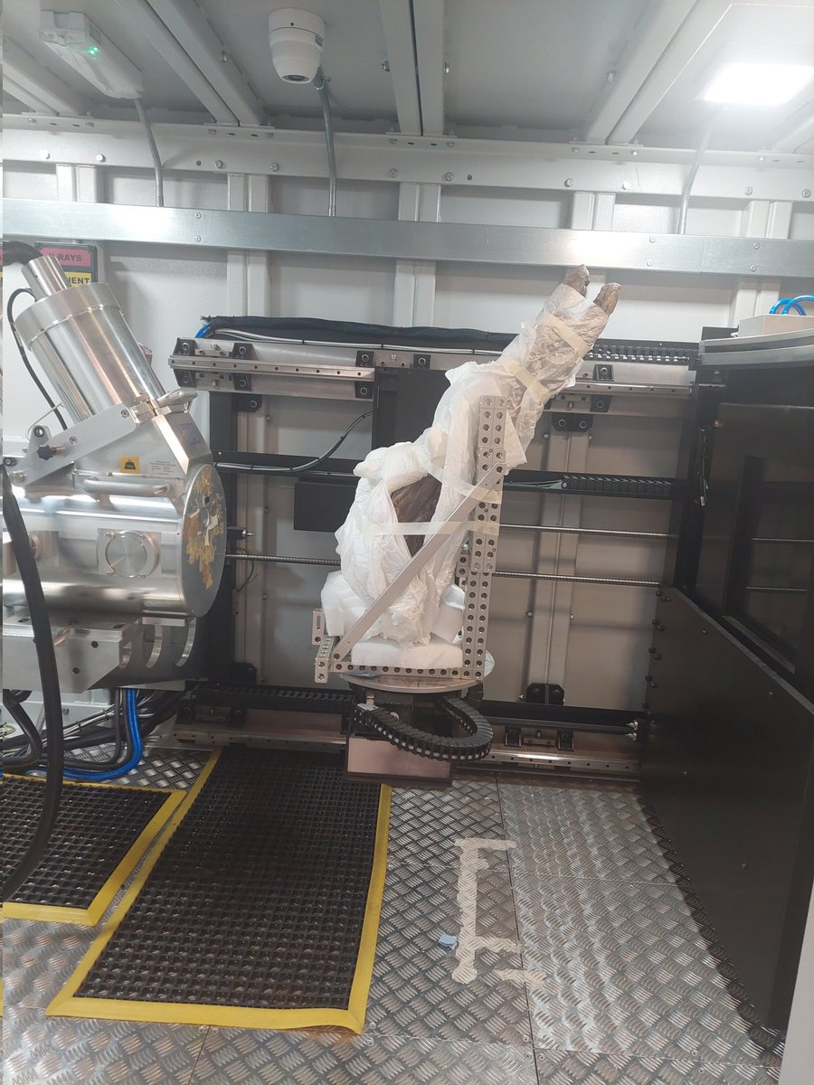 Welcome back ichthyosaur! Looking great after a face lift by <a href="/MrIchthyosaurus/">Nigel Larkin</a> and a 'quick' scan <a href="/wmgwarwick/">WMG</a>. The skull and matrix is very dense, but some features have shown up, we hope to update more on the future. For now, enjoy our Jurassic Warwickshire display over half term