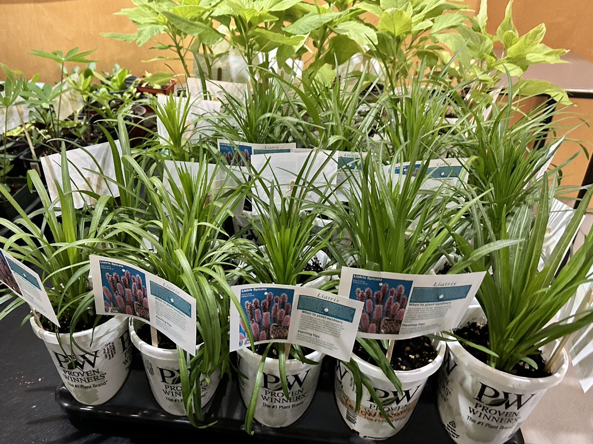 Plant sale happening today 11:30-12:30 all proceeds go to the BML horticulture club #thelakerway @tldsb