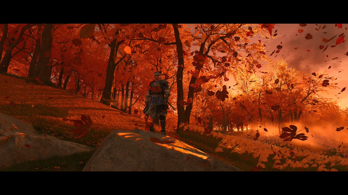 Mark Keiller tweet media