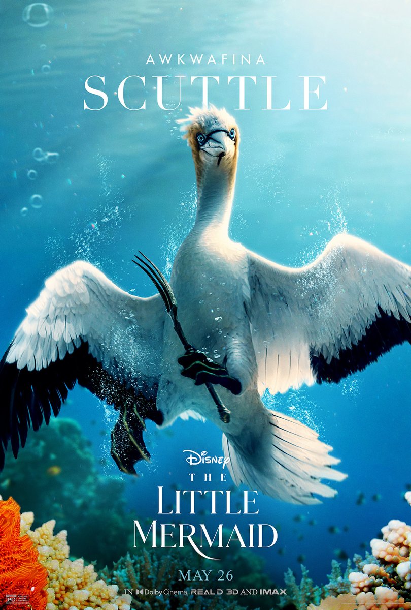 wkinie's tweet photo. 26.05: Mała Syrenka (The Little Mermaid) · reż. Rob Marshall https://t.co/TNJ5oLp2Bi https://t.co/19Iij1dvqk