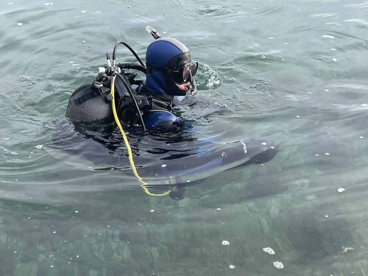 DiverExperts's tweet photo. Advanced Open Water Diver tanulók gyakorolnak.

Tájolás, ön és társmentési gyakorlatok, víz alatti képességek fejlesztése. https://t.co/ZdrV5LyNY4