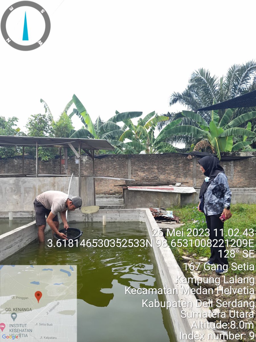 NKabinawati's tweet photo. Jumat, 26/05/23. Nurul Kabinawati, Luhkan Kab. Deli Serdang melakukan pendataan produksi pembenihan, sejumlah 82 ribu ekor ukuran 5-7 cm  milik Sdr. Putra Damanik. Pemasaran lokal wilayah Deli Serdang dan Kota Medan
#GiatLuhkanSatminkalBP3Medan 
@brsdm_kp 
@puslatluhkp https://t.co/pFEKcO2Gta