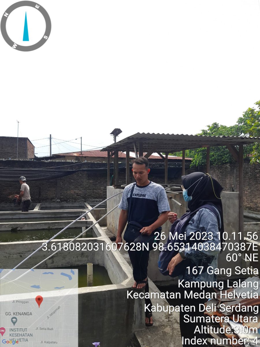 NKabinawati's tweet photo. Jumat, 26/05/23. Nurul Kabinawati, Luhkan Kab. Deli Serdang melakukan pendataan produksi pembenihan, sejumlah 82 ribu ekor ukuran 5-7 cm  milik Sdr. Putra Damanik. Pemasaran lokal wilayah Deli Serdang dan Kota Medan
#GiatLuhkanSatminkalBP3Medan 
@brsdm_kp 
@puslatluhkp https://t.co/pFEKcO2Gta
