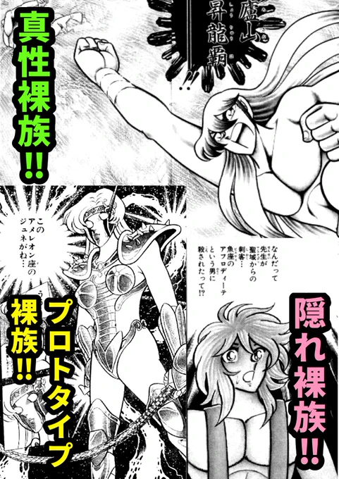 裸族‼️それは脱ぐことに全てをかける難儀な奴ら‼️ 紫龍やミスティが有名ですが、裸にサスペンダーというマニアックな趣味を持つ瞬も隠れ裸族に違いない‼️ 連載時、裸エプロンならぬ裸聖衣を披露したものの後で恥ずかしくなったのかコミックスで修正したジュネはプロトタイプ裸族ってとこですかね😅