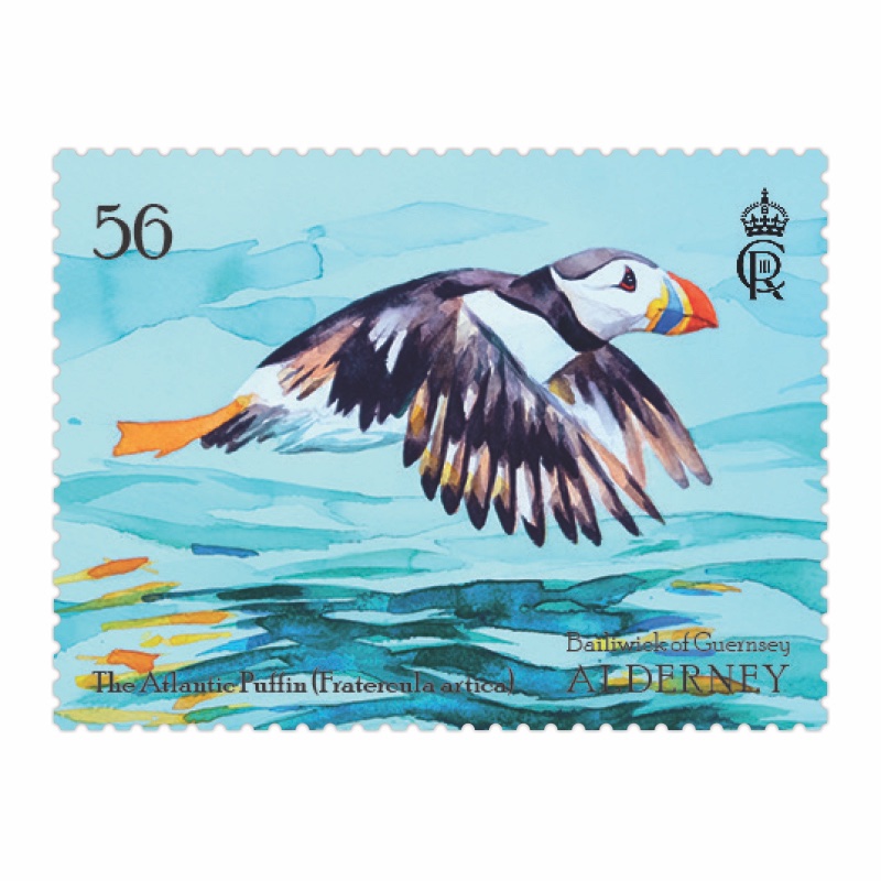 guernseystamps's tweet photo. Illustrated by local #artist @JamesColmer, this stamp features a #puffin on its way home. These photogenic seabirds are fast flyers; by flapping their wings up to 400 times per minute, they can reach speeds of 55 miles an hour! #stamps #wildlife https://t.co/kmAecduppy https://t.co/JUjl1nrW1K