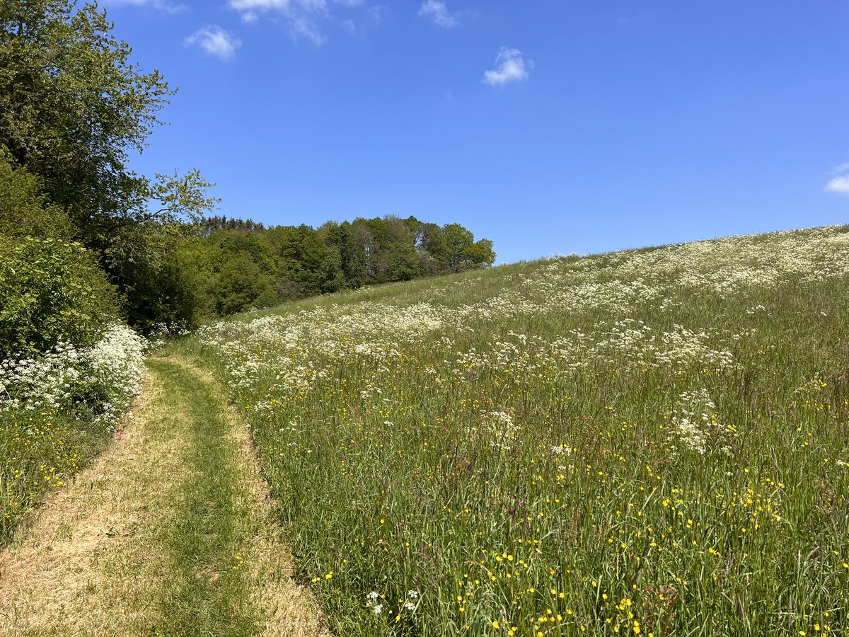 ReinBijlsma's tweet photo. Aan ‘t wandelen in de Hunsrück; het ultieme #Schabbach-gevoel. 😎 #Heimat https://t.co/9MU7Yqpyuc