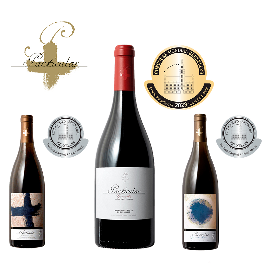 El vino🍷 "Particular Garnacha Viñas Centenarias 2018" , de <a href="/bodegasanvalero/">Bodegas San Valero</a>,  galardonado con la Gran Medalla de Oro en el <a href="/concoursmondial/">Concours Mondial de Bruxelles</a> de Bruselas 2023, se posiciona en el exclusivo club de los mejores vinos españoles

#DOCariñena #vino #winelovers

vinetur.com/2023052573524/…