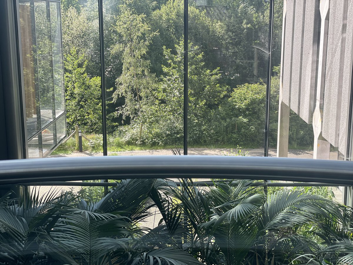 RareBookYvette's tweet photo. Back to a (not so bad) reality after #CONUL2023. Beautiful sunny day in #Maynooth.
Was especially pleased when @cloudAnthro referenced #Nuada, the Irish mythological figure in his excellent keynote to which our town is named - Maigh Nuad = The Plain of Nuada #FridayFeeling https://t.co/G9mjdb2mdH