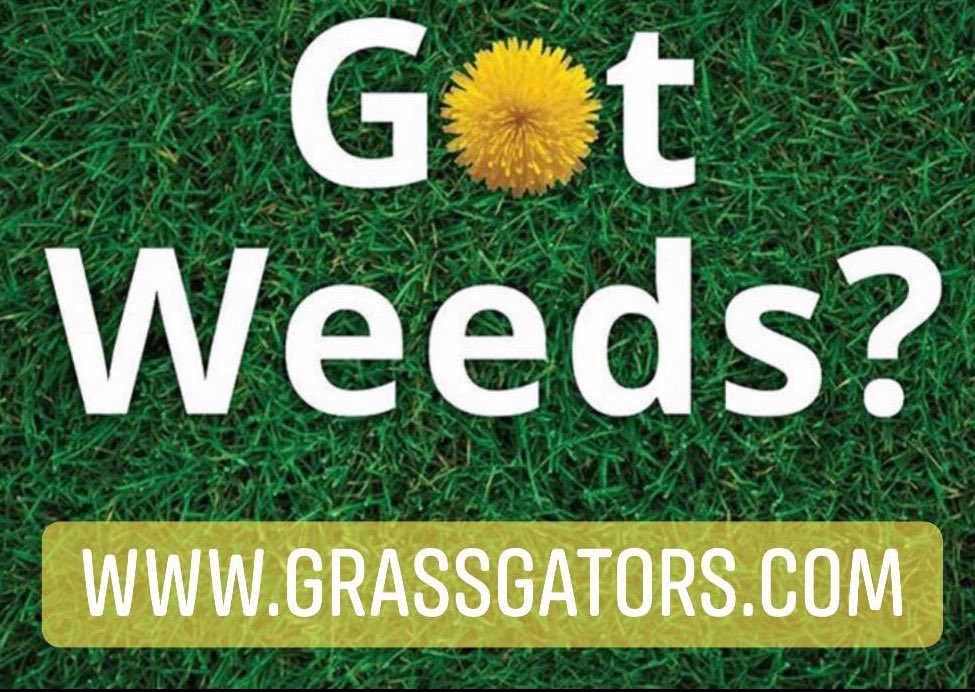 Big spring sale Weed Control & Fertilizer book your weed control and fertilizer online. grassgators.com
#calgary #yyceats #calgarysun #yyclife #calgarylife #ctvnewscalgary #calgarybuzz #airdrie #calgarystampede #shoplocalyyc #yyctoday #yycbuzz #yyclocal #yycstyle #yyc