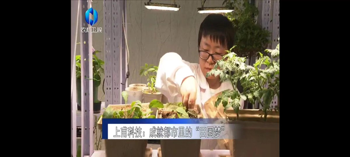 rysoils's tweet photo. Great challenges and memories, being interviewed for the first time by a TV station about our home gardening project “Smart Farm” and lecturing to undergraduate students at Xi'an University about plant-derived pesticides and sustainable agriculture! https://t.co/IAHn7Ofbm6