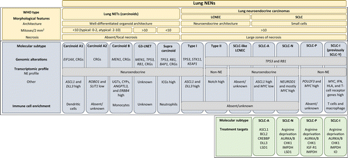 n8pennell's tweet photo. Spotlight on Small-Cell Lung Cancer and Other Lung Neuroendocrine Neoplasms https://t.co/I5vCBREQGv #EdBook #ASCO23  #LCSM https://t.co/98yL70wSsA