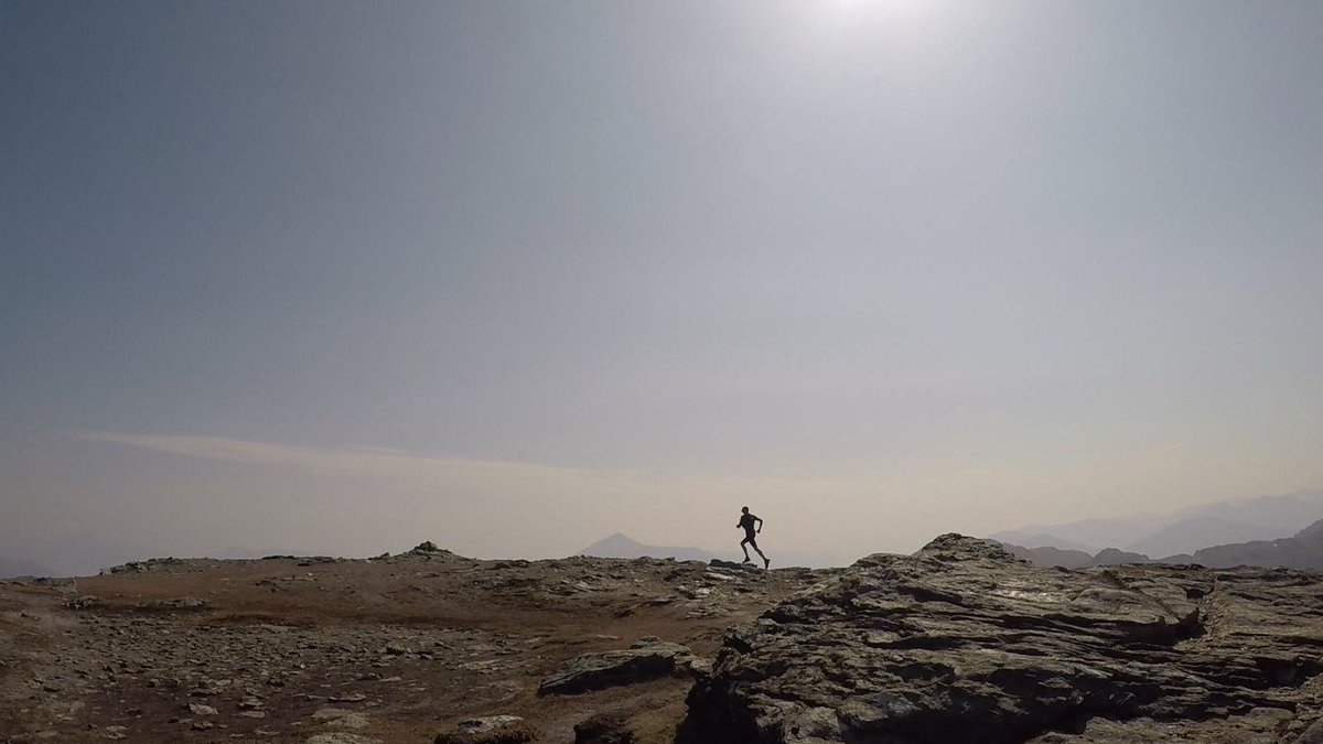 PyllonUltra tweet media