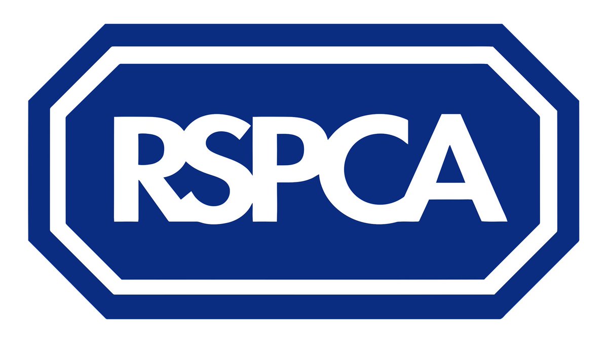 Apprentice IT Office Administrator role with @RSPCA_official in Horsham, West Sussex.

Info/Apply: ow.ly/9lV350OwHLI

Learn about the different careers paths with the RSPCA here: ow.ly/HGQJ50OwHLJ

#SussexJobsFair #SussexApprenticeships #HorshamJobs #ITJobs #AdminJobs