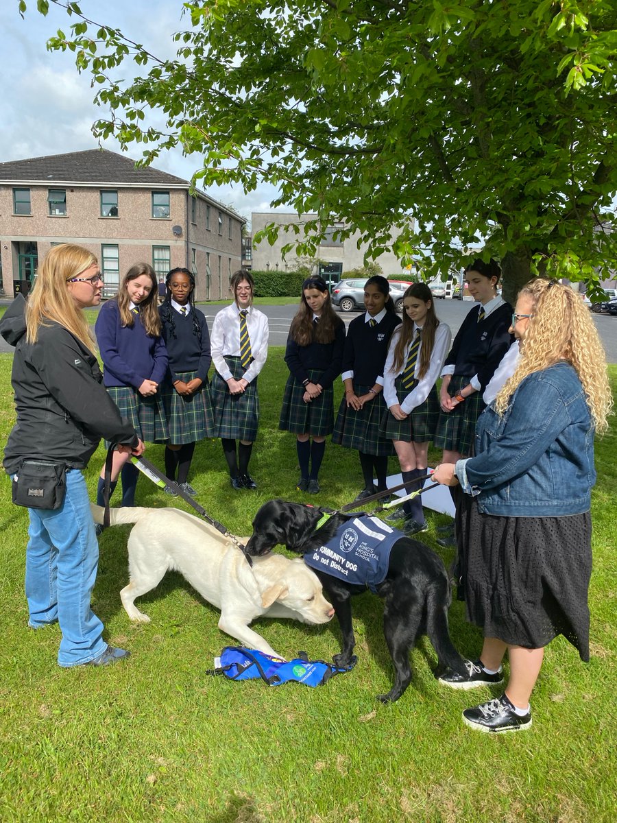 Kings_Hospital's tweet photo. Happy Guide Dog Day! Thankful for Eimear Kenneally, who trained our #KHTherapyDog Nala &amp; supports Clair, Nala's owner. Our students raised €1022.55 for @irishguidedogs  through raffles &amp; a cake sale. Thanks to all involved! #GuideDogDay #IrishGuideDogs #FundraisingSuccess 🐾🎉🙌 https://t.co/U2RKpSnyHz