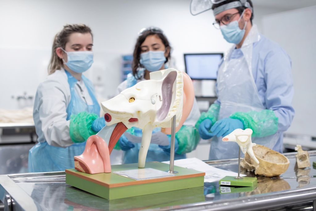 School of Medicine tweet media