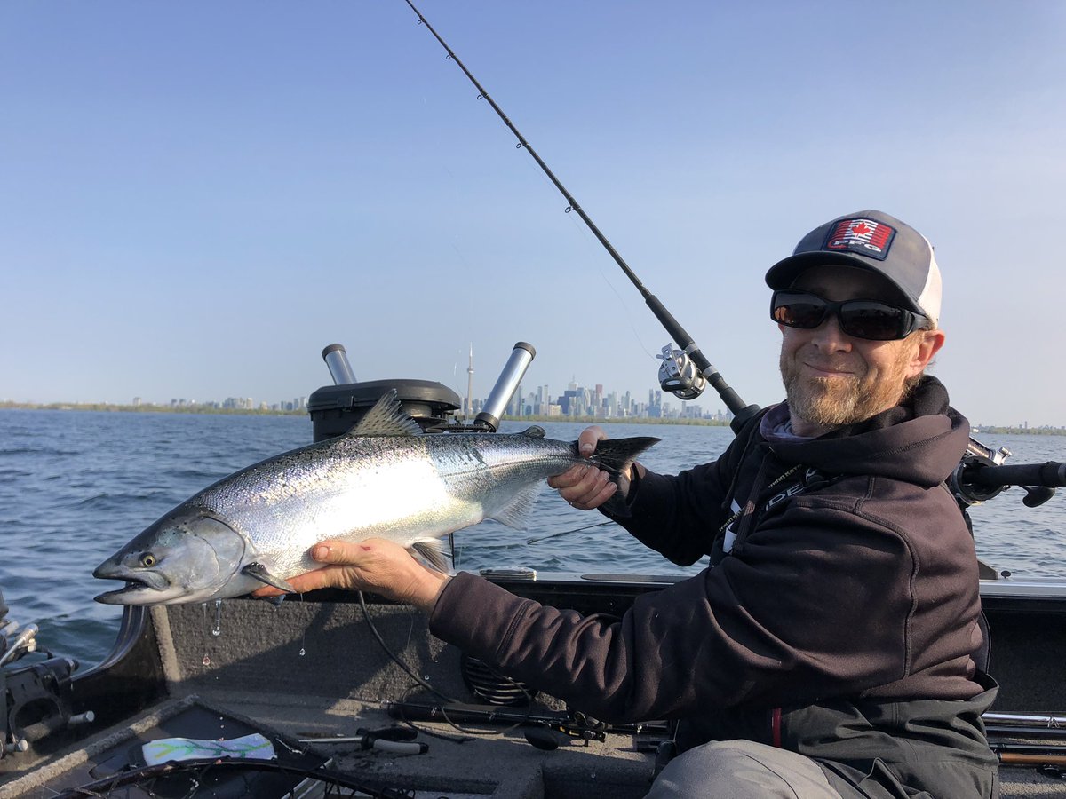 FishingDawson's tweet image. Great time of year in #toronto chasing salmon and trout!!  We have availability so don’t hesitate and book your trip today🎣🤙#experiencelakeontario #fishing #thesix #tdot #fishinglife #ontario #lakeontario #salmon #trout #exploretoronto #coldfronttackle #fish #exploretoronto