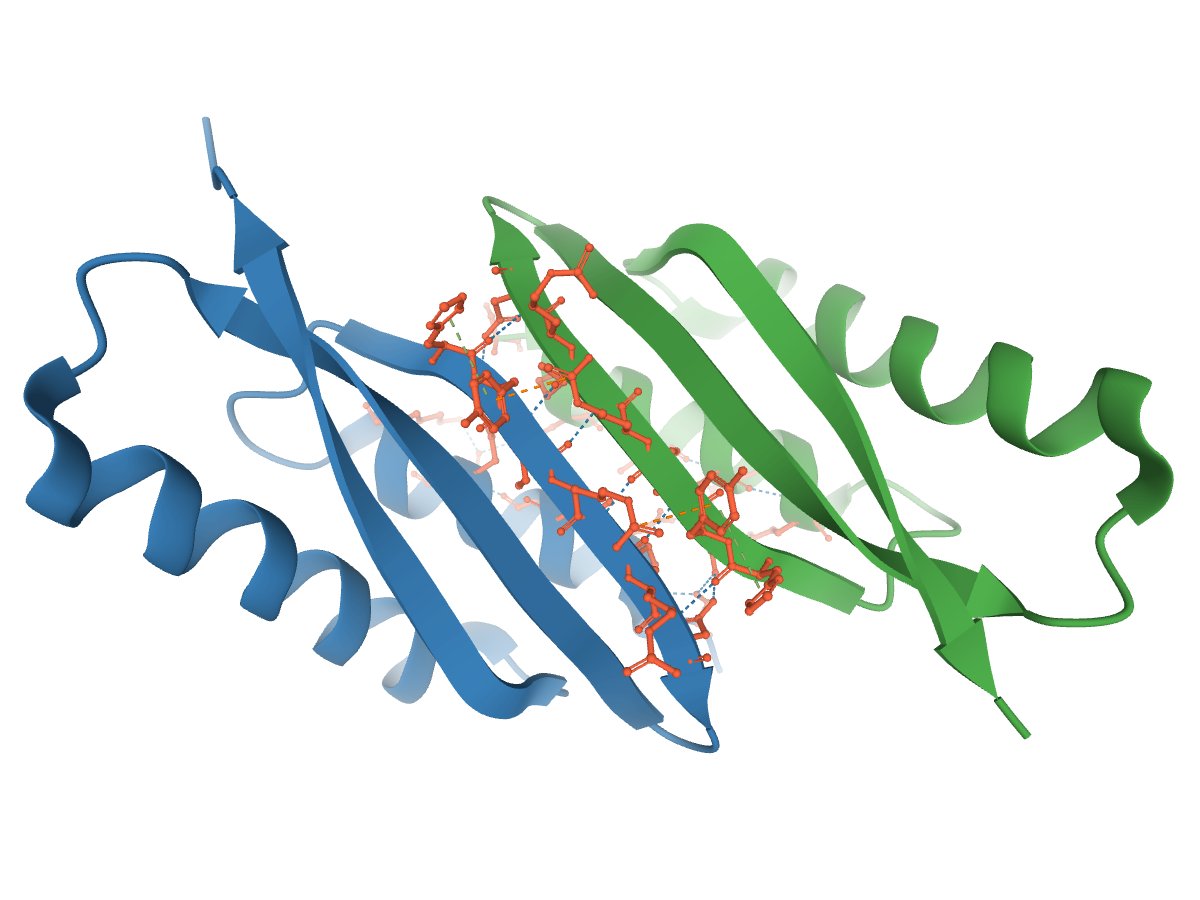 PDBeurope's tweet image. Interested in macromolecular interactions? Our new PISA-lite software generates more interaction data than ever, with detailed information on individual interfaces and atom-atom interactions. Data access is through PDBe API endpoints and JSON files.
🔗 ebi.ac.uk/pdbe/news/impr…