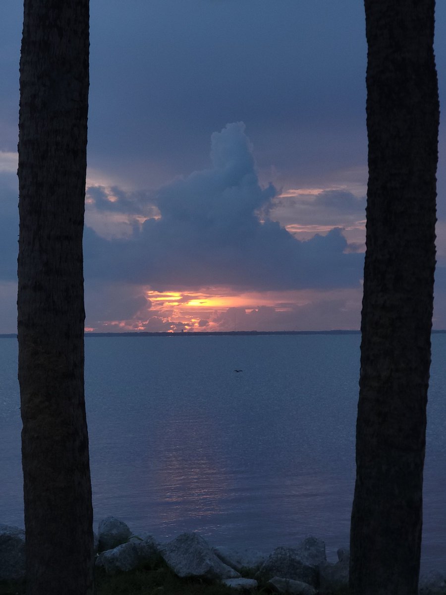 SpaceCoastSkies's tweet photo. Happy Friday!! A little bit of color and it's a #launchday!! #sunrise #nightlaunch #flwx #SpaceCoastSkies #StormHour #breakfastofchampions #ayce #TGIF https://t.co/fajV4CD0BE