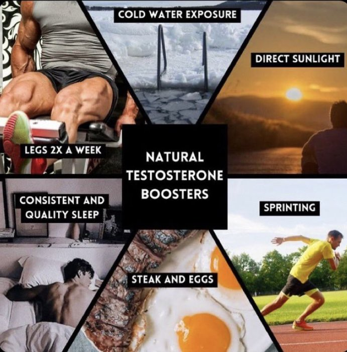 Masculine Notes ⚔️ on Twitter "Natural Testosterone Boosters"