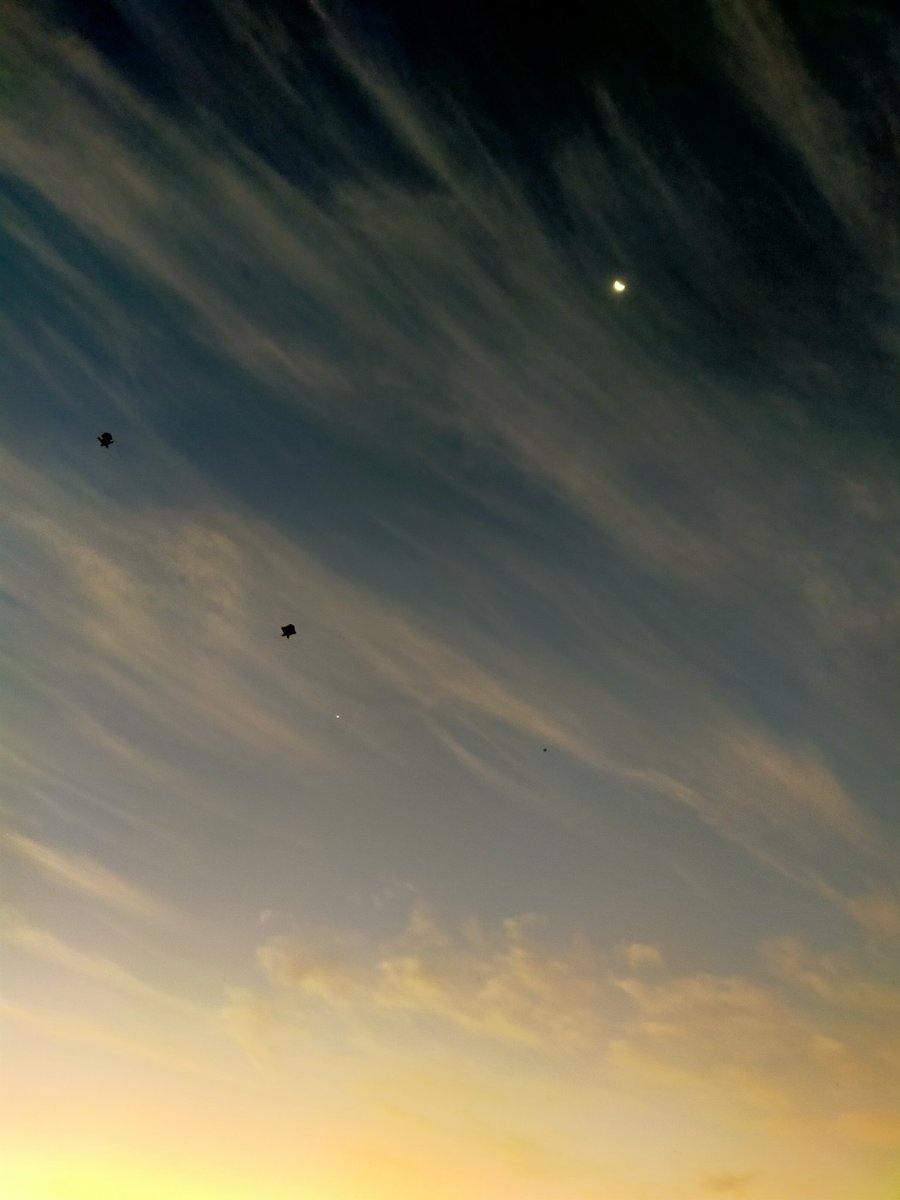 butter cup Bali🇮🇩🇯🇵 tweet media