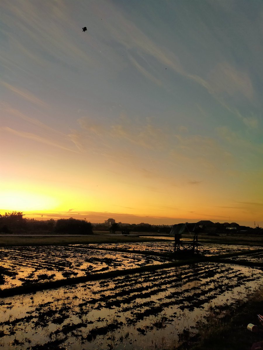 butter cup Bali🇮🇩🇯🇵 tweet media