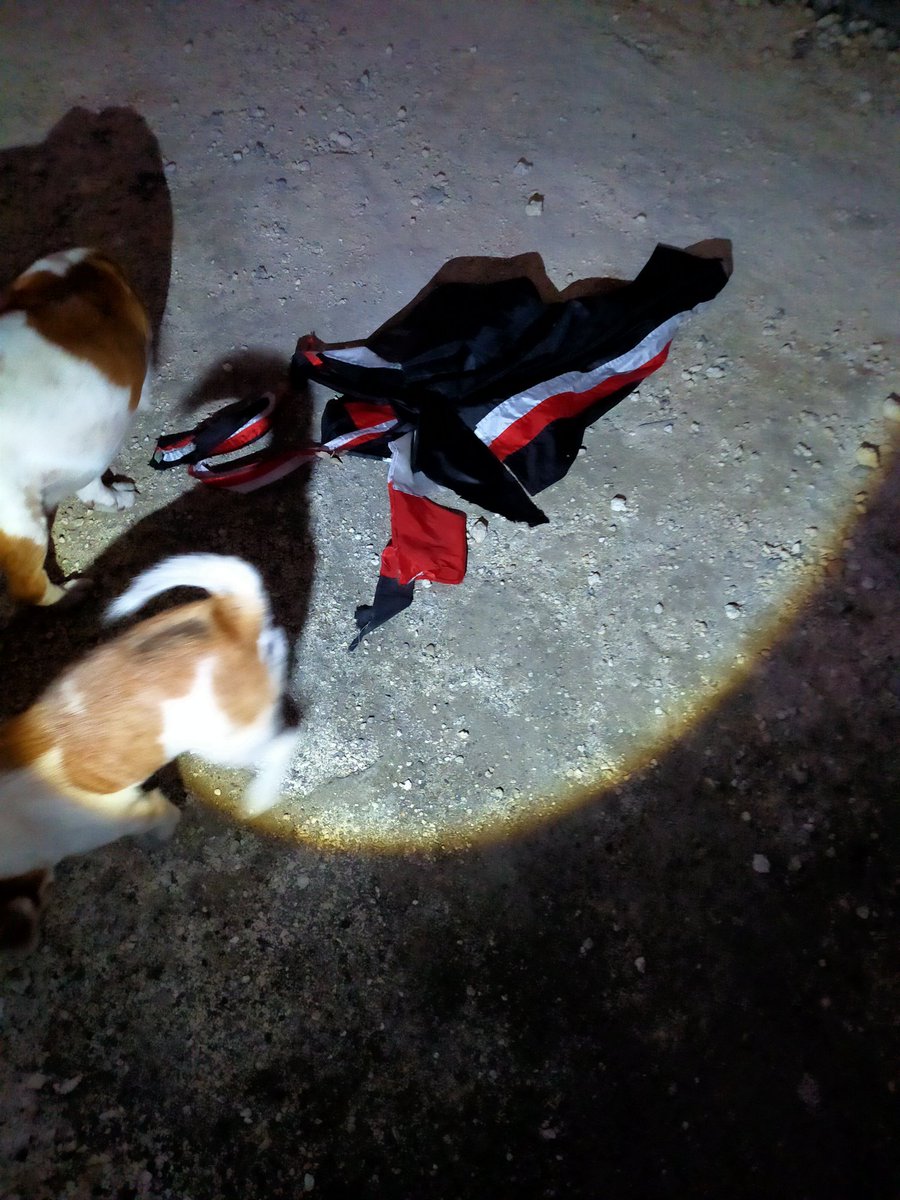 butter cup Bali🇮🇩🇯🇵 tweet media