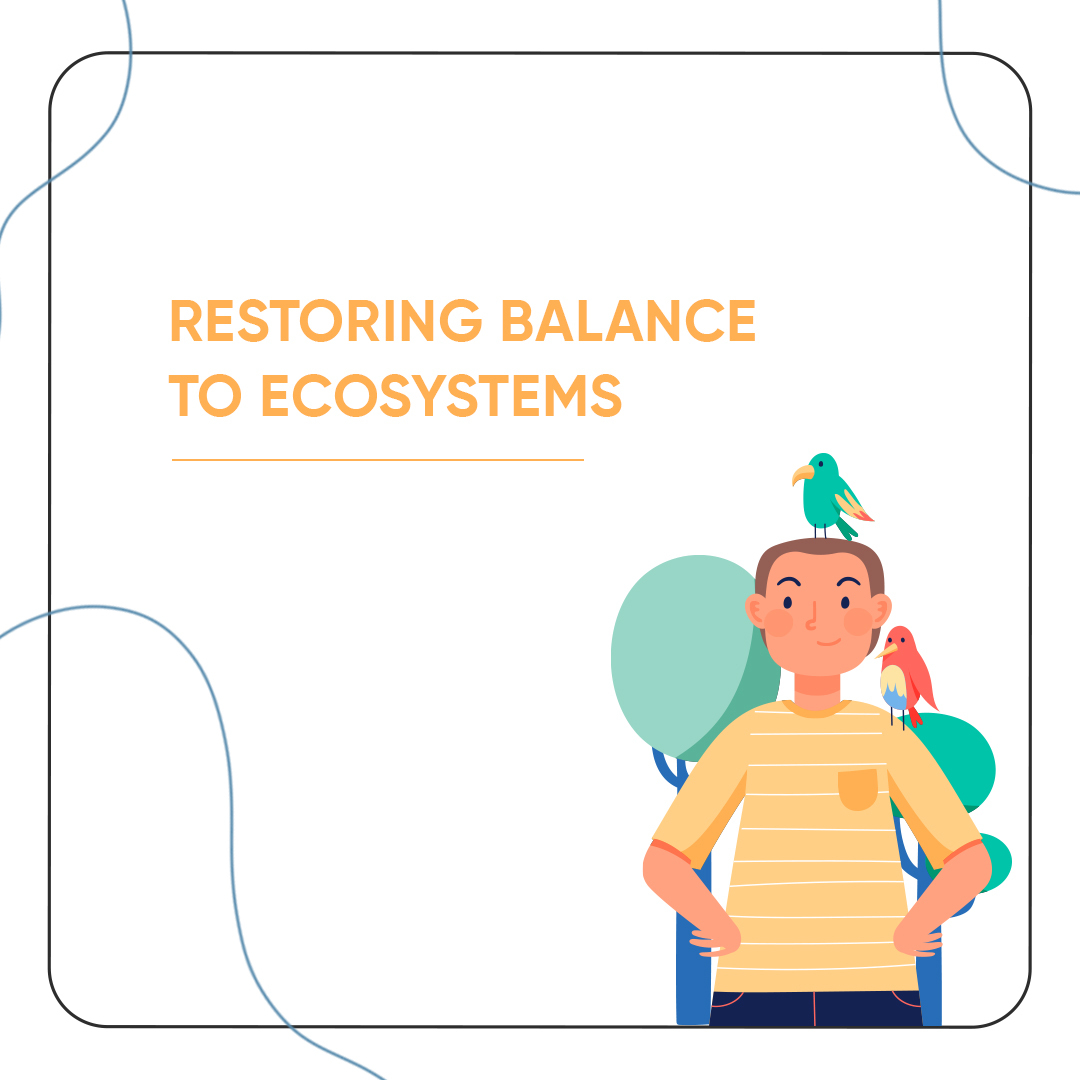 RameshC92953650's tweet image. Join the Conservation Movement
Be part of the solution! Join us in supporting conservation efforts to protect wildlife, ecosystems, and our planet&apos;s biodiversity.
#rameshchaurasia #humananimalconnection #humans #animals #conservation #conservationmatters #endangeredspecies