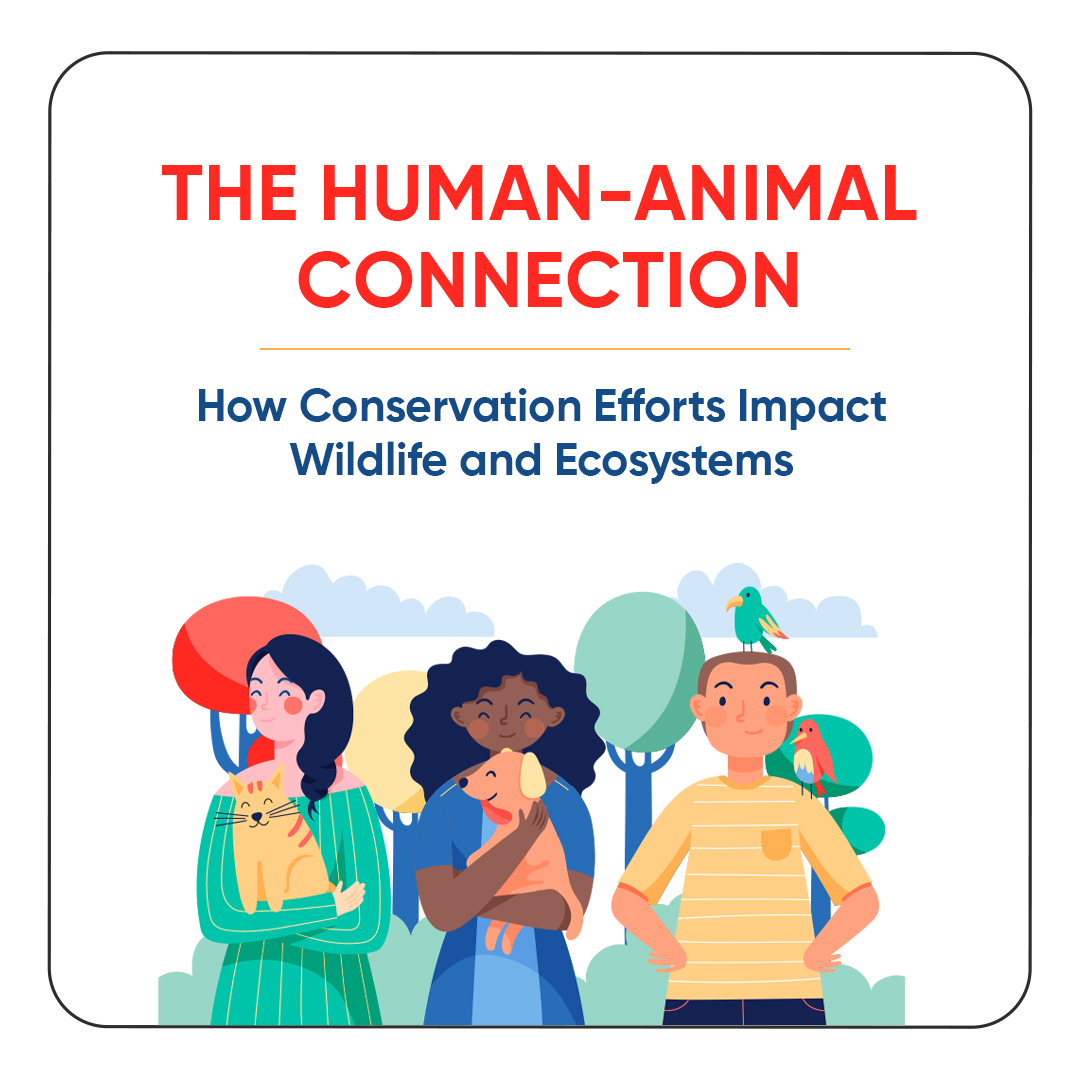 RameshC92953650's tweet image. Join the Conservation Movement
Be part of the solution! Join us in supporting conservation efforts to protect wildlife, ecosystems, and our planet&apos;s biodiversity.
#rameshchaurasia #humananimalconnection #humans #animals #conservation #conservationmatters #endangeredspecies