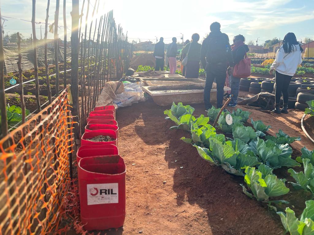 SA SDI Alliance tweet media