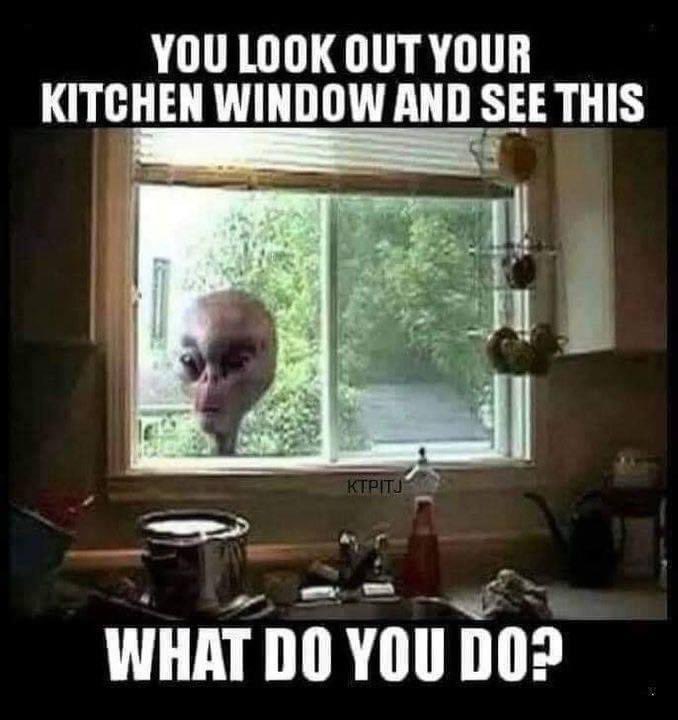 WICKED_Queen12's tweet image. 