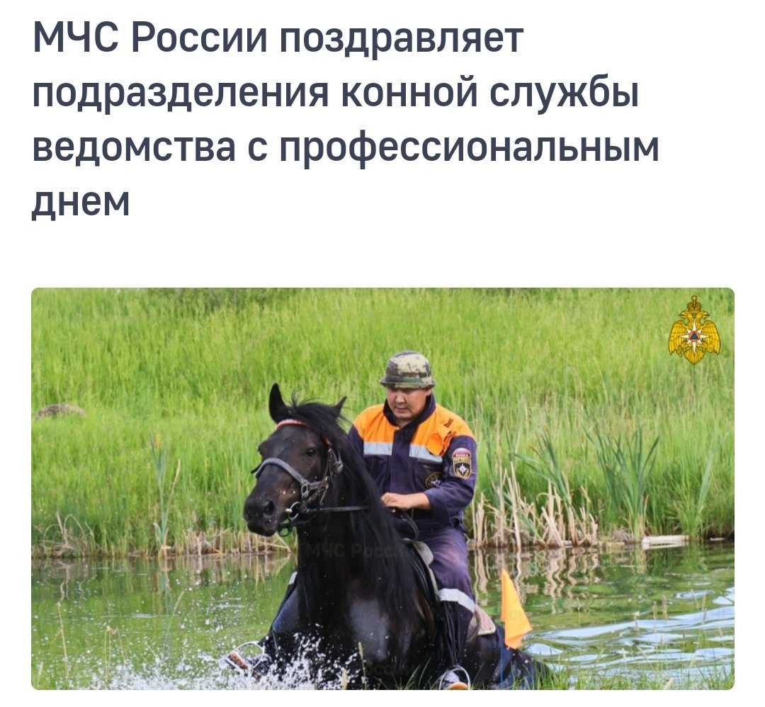 Марья tweet media