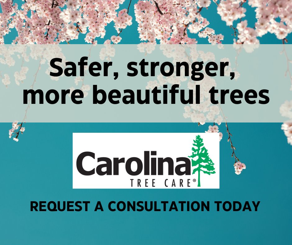 A three-day weekend is the perfect time to take a closer look at your trees! The trees in your yard need regular maintenance and care to remain healthy. Talk to us about putting your trees on a maintenance plan today!