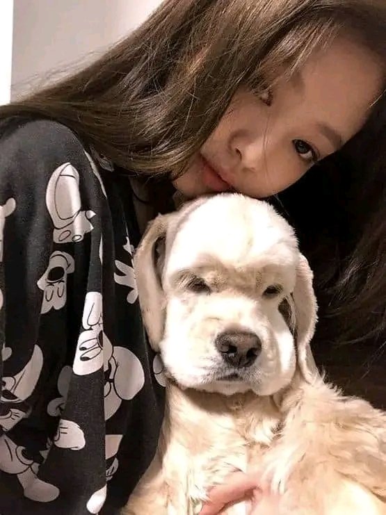 blackpink_dump's tweet photo. Noooo.. Jennie first dog, Kai recently passed away 💔🕊️ rest in pawradise bb, run free our rest boy.
#BLACKPINK #BLACKPINKJennie https://t.co/MgOeMxIg66