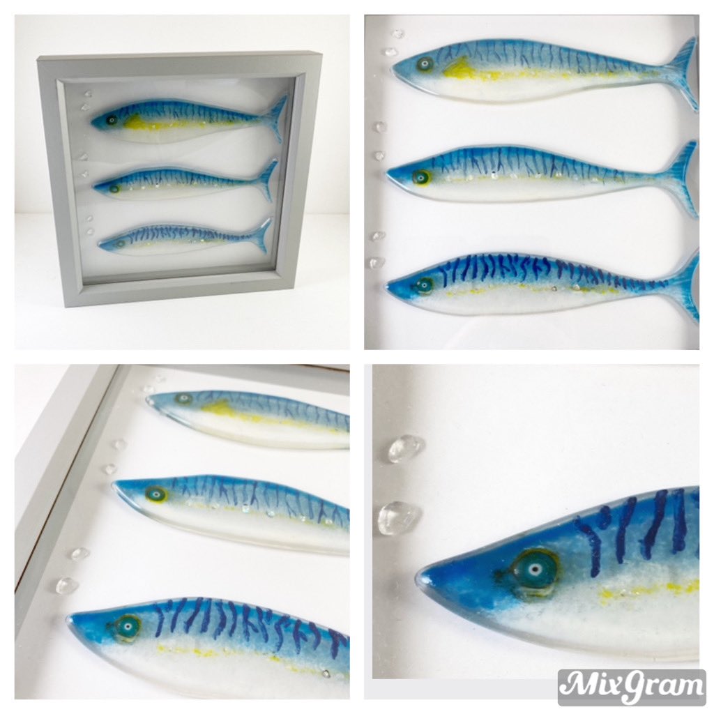 FusedGlass1's tweet photo. My latest on #etsy kiln fired hand painted mackerel ❤️ 

https://t.co/cNG4tKGYjn #etsy #marinelife #mackerel #fisherman #fusedglass #kilnfired #handpainted https://t.co/k6vC5zWoJi