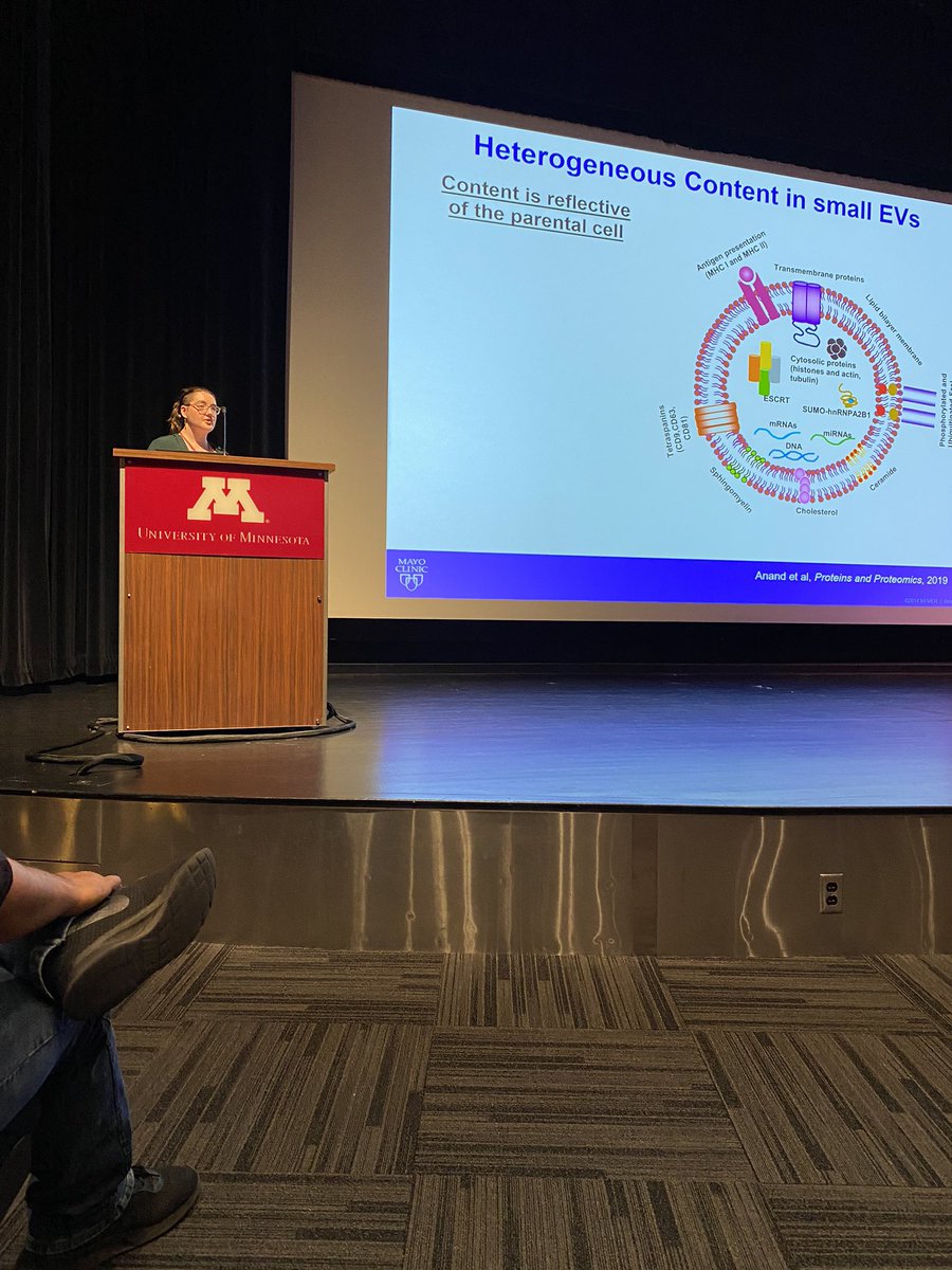 Congratulations to Post-bac Alex Hoff for crushing her talk at #MIC2023! 🎉#extracellularvesicles #diabetes