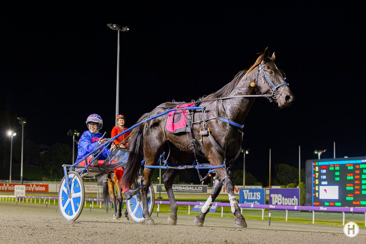 GloucesterPark's tweet photo. Jett Star gives #TeamBond a win on their sponsored night at #GloucetserPark! 

#TheTrotsWA | 📸: @_HamiltonCC https://t.co/OXlIFL9H4n