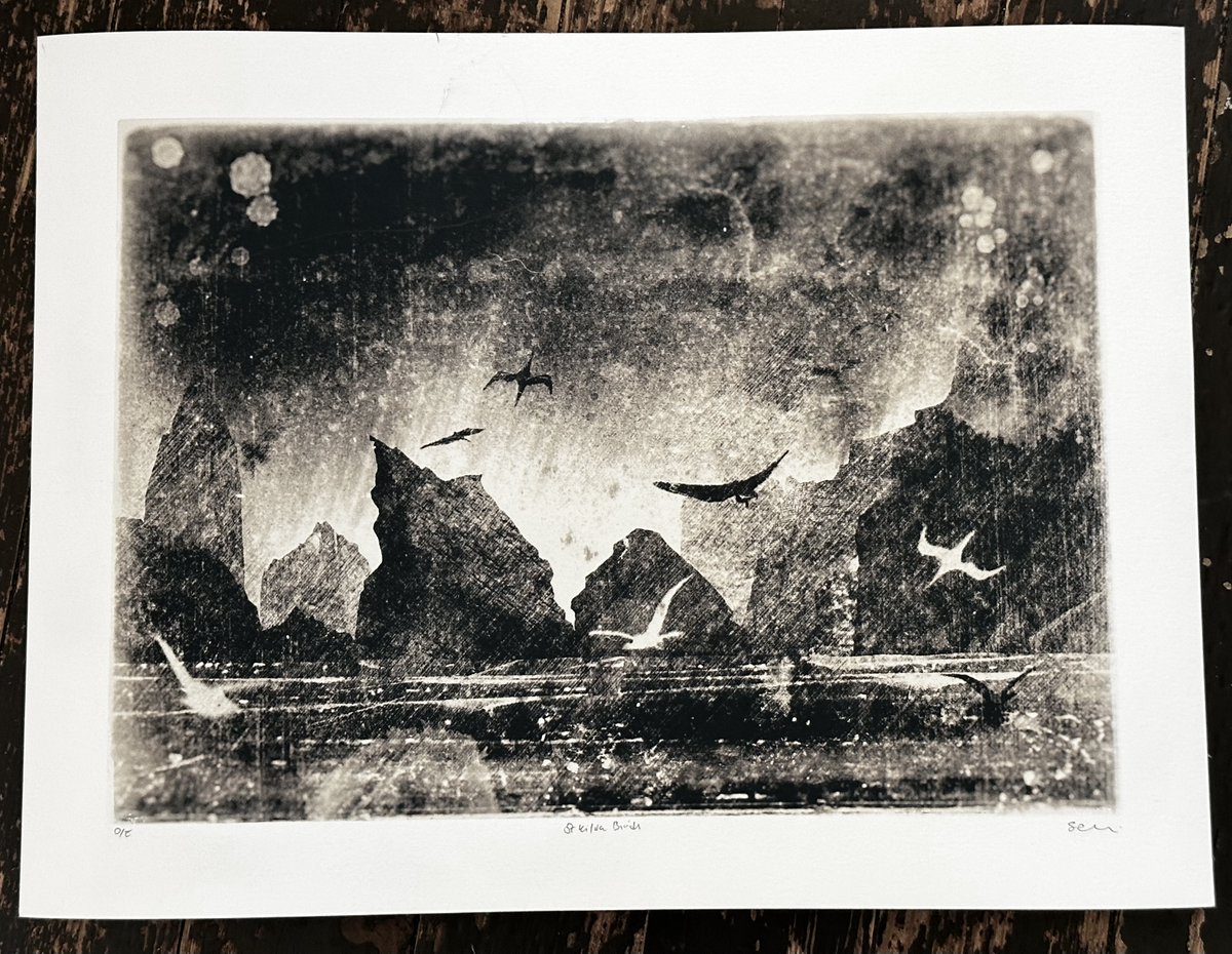 GIVEAWAY! To mark the reopening of my Etsy shop I am giving away this new print of St Kilda Birds. To enter, simply RT and follow me. And if you don't win you can buy one instead! I'll announce the winner at 5pm on Sunday 2nd June. Thanking you. etsy.com/uk/shop/SarahC…