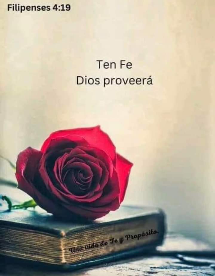 Angela Soto (@angelas71020171) on Twitter photo 