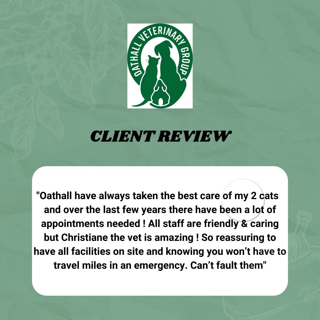 We always like to read your reviews so would like to thank each and everyone of you for taking the time to write such kind words and positive reviews, it truly means such a lot to the team 📷
#haywardsheath #burgesshill #lindfield #cuckfield #ardingly #sussex #vetsinhaywardsheath