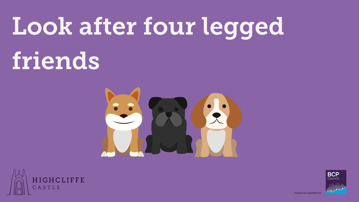 HighcliffeC's tweet image. Its hotter weather season &amp;amp; we would like you to enjoy your visit to the Castle site but please stay safe &amp;amp; follow the advice.
#staysafeinthesun #takecare #lookaftereachother