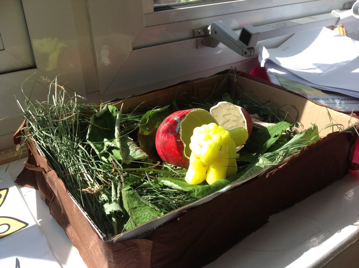 We took care of our egg this week and watched the egg crack. Then today we discovered what was inside. The children said " a dinosaur"