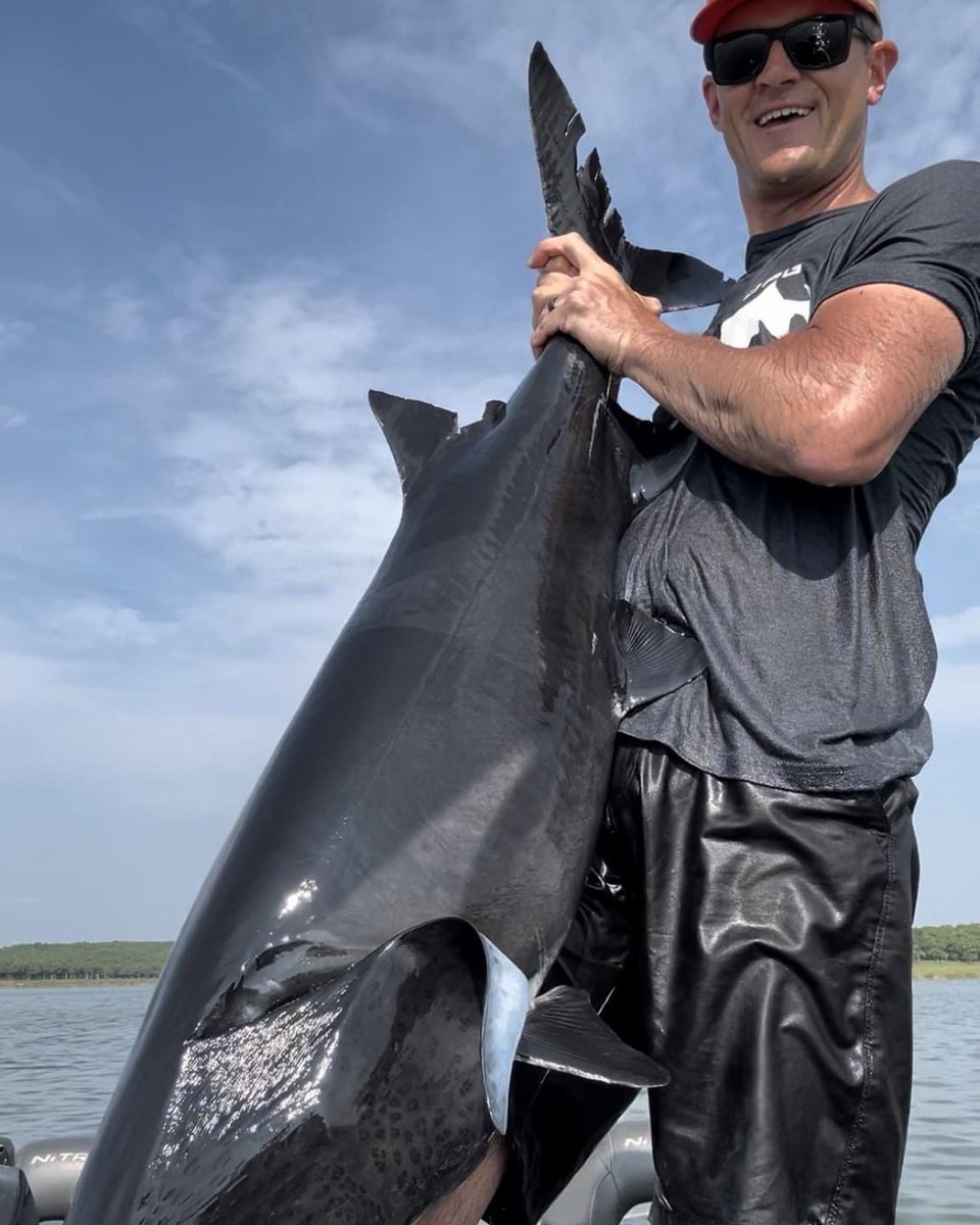 BLACK Paddlefish!
Check out this melanistic Paddlefish caught and released by Oklahoma Paddlefish Guide Service! themeateater.com/conservation/w…
📸Oklahoma Paddlefish Guide Service